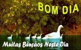 Mensagens de Bom Dia