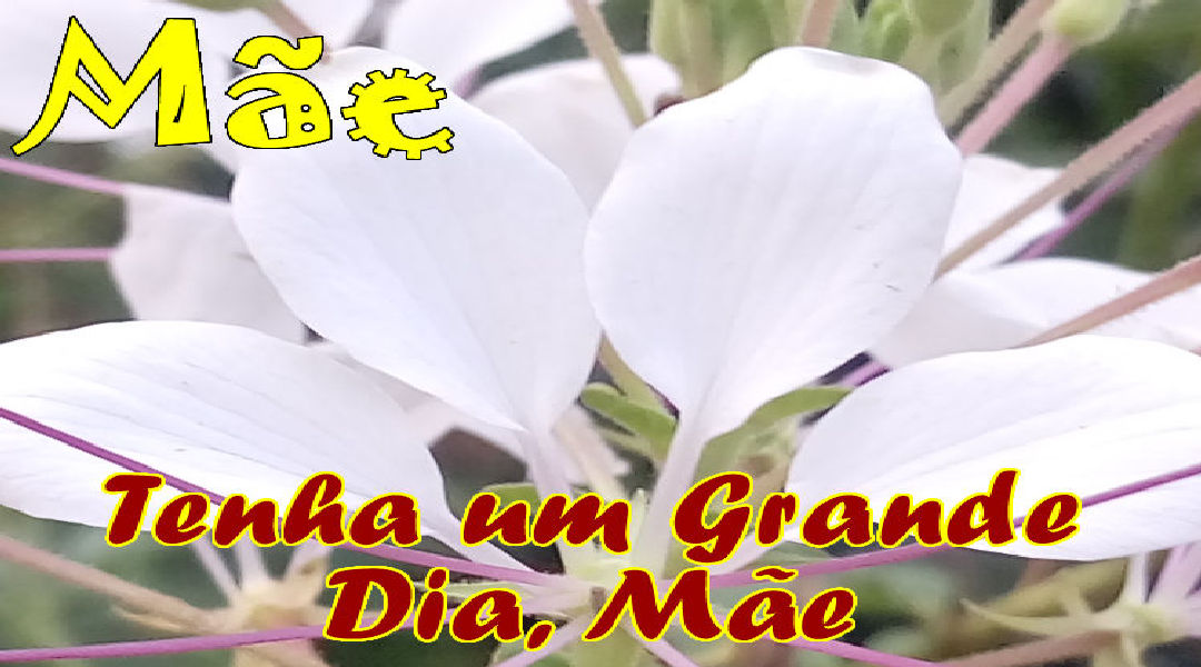 Mensagens para Mães Mensagens para Mães